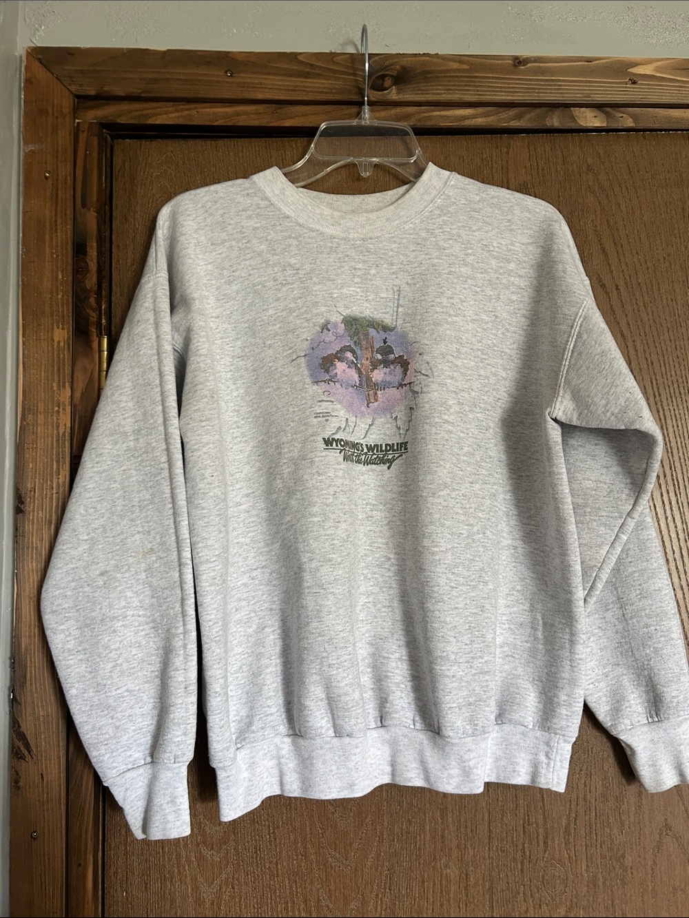 Hanes Gray Crewneck Sweatshirt with Pastel Wildlife Graphic